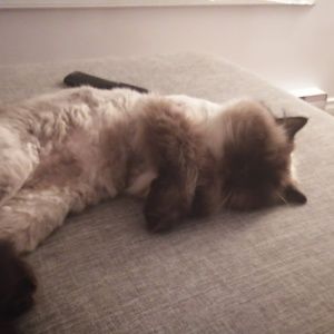 Meet your Posher, Christina